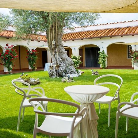 Tenuta Amalthea Villa Sessa Aurunca Exteriör bild