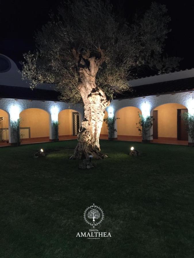 Tenuta Amalthea Villa Sessa Aurunca Exteriör bild