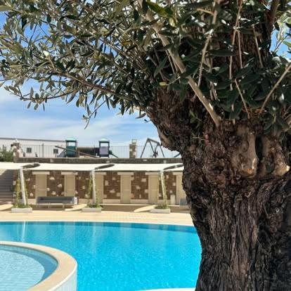Tenuta Amalthea Villa Sessa Aurunca Exteriör bild